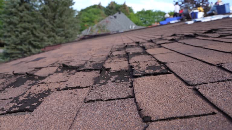 Best Cold Roofs  in Lacon, IL