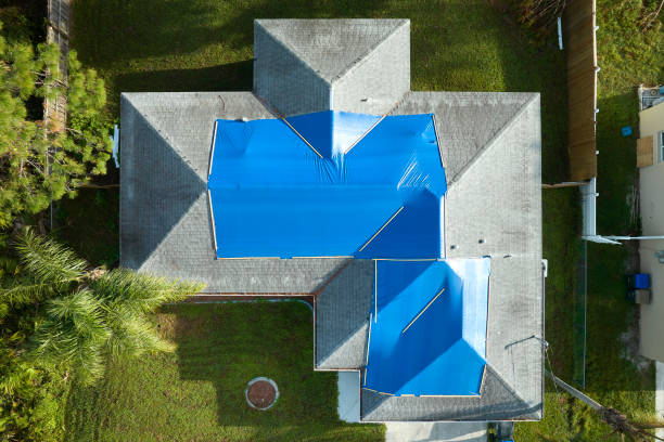 Best Asphalt Shingle Roofing  in Lacon, IL