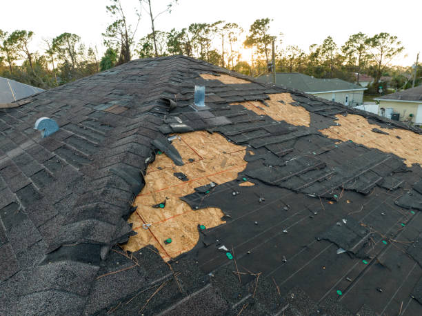 Best Roof Ventilation Installation  in Lacon, IL